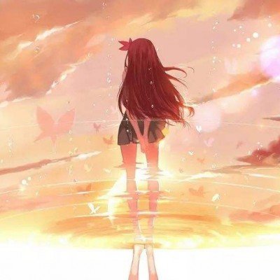 游客花钱雇轿夫抬狗逛峡谷